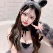 ヒメ日記 2024/12/19 12:39 投稿 アゲハ きらめけ！にゃんにゃん学園in大宮