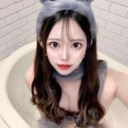 ヒメ日記 2024/12/20 17:00 投稿 アゲハ きらめけ！にゃんにゃん学園in大宮