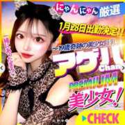 ヒメ日記 2025/01/27 14:30 投稿 アゲハ きらめけ！にゃんにゃん学園in大宮