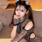 アゲハ 24時過ぎ〜🈳♡🎀 きらめけ！にゃんにゃん学園in大宮