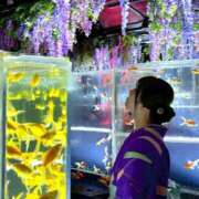 ヒメ日記 2025/06/21 20:01 投稿 みさき 君とふわふわプリンセスin熊谷