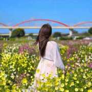 ヒメ日記 2025/10/27 19:02 投稿 みさき 君とふわふわプリンセスin熊谷