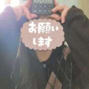 ヒメ日記 2025/11/27 07:00 投稿 みさき 君とふわふわプリンセスin熊谷