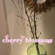 ヒメ日記 2026/02/12 12:59 投稿 よう 逢って30秒で即尺