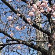 ヒメ日記 2026/03/02 10:08 投稿 よう 逢って30秒で即尺