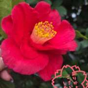 ヒメ日記 2026/03/06 19:16 投稿 よう 逢って30秒で即尺