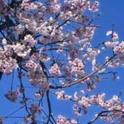 ヒメ日記 2026/03/15 16:01 投稿 よう 逢って30秒で即尺