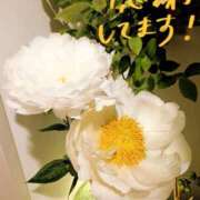 ヒメ日記 2026/06/03 22:38 投稿 よう 逢って30秒で即尺