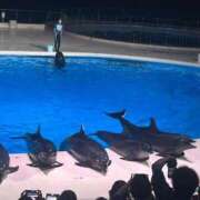 ヒメ日記 2025/09/30 11:53 投稿 リナ いたずらバニーちゃん