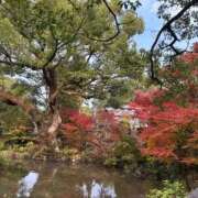 ヒメ日記 2025/11/28 22:01 投稿 リナ いたずらバニーちゃん