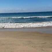 ヒメ日記 2026/02/17 20:50 投稿 リナ いたずらバニーちゃん