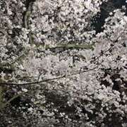 まほ 春うらら ～優しい若妻倶楽部～Mrs.女神