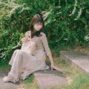 ヒメ日記 2025/04/10 12:57 投稿 NANOKA【なのか】 ViVi-ヴィヴィ-(金津園)