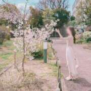 ヒメ日記 2025/04/28 23:37 投稿 NANOKA【なのか】 ViVi-ヴィヴィ-(金津園)