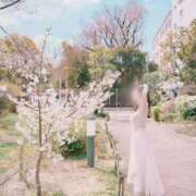 ヒメ日記 2025/05/05 08:57 投稿 NANOKA【なのか】 ViVi-ヴィヴィ-(金津園)