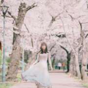 ヒメ日記 2025/05/07 08:27 投稿 NANOKA【なのか】 ViVi-ヴィヴィ-(金津園)