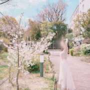 ヒメ日記 2026/02/20 20:27 投稿 NANOKA【なのか】 ViVi-ヴィヴィ-(金津園)