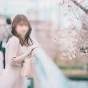 ヒメ日記 2026/03/15 09:16 投稿 NANOKA【なのか】 ViVi-ヴィヴィ-(金津園)