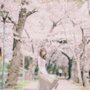 ヒメ日記 2026/04/01 08:57 投稿 NANOKA【なのか】 ViVi-ヴィヴィ-(金津園)