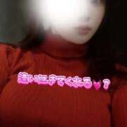 ヒメ日記 2025/12/15 09:14 投稿 望月結衣 ニューハーフヘルスSURPRISE ONE日本橋店