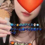 ヒメ日記 2026/07/23 10:23 投稿 望月結衣 ニューハーフヘルスSURPRISE ONE日本橋店