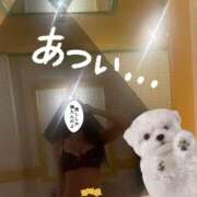 ヒメ日記 2026/09/07 21:23 投稿 望月結衣 ニューハーフヘルスSURPRISE ONE日本橋店