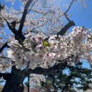 ヒメ日記 2026/03/04 10:14 投稿 まい ごほうびSPA横浜店