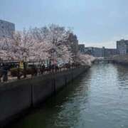 ヒメ日記 2026/04/02 18:14 投稿 まい ごほうびSPA横浜店