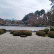 ヒメ日記 2025/03/29 16:14 投稿 まり 京都回春性感マッサージ倶楽部