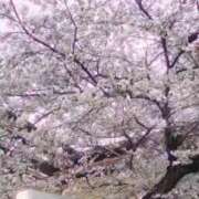 ヒメ日記 2025/04/02 11:58 投稿 まり 京都回春性感マッサージ倶楽部