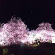 ヒメ日記 2025/04/03 14:58 投稿 まり 京都回春性感マッサージ倶楽部