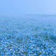 ヒメ日記 2025/04/23 13:38 投稿 まり 京都回春性感マッサージ倶楽部