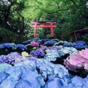 ヒメ日記 2025/05/06 15:08 投稿 まり 京都回春性感マッサージ倶楽部