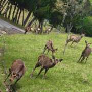 ヒメ日記 2025/05/19 13:38 投稿 まり 京都回春性感マッサージ倶楽部