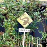 ヒメ日記 2025/07/19 12:23 投稿 まり 京都回春性感マッサージ倶楽部