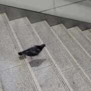 ヒメ日記 2025/09/02 12:18 投稿 まり 京都回春性感マッサージ倶楽部