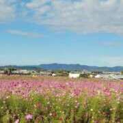 ヒメ日記 2025/10/28 11:58 投稿 まり 京都回春性感マッサージ倶楽部