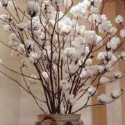 ヒメ日記 2025/12/16 15:18 投稿 まり 京都回春性感マッサージ倶楽部