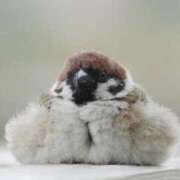 ヒメ日記 2026/01/02 12:20 投稿 まり 京都回春性感マッサージ倶楽部