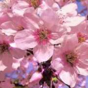 ヒメ日記 2026/02/07 12:38 投稿 まり 京都回春性感マッサージ倶楽部