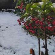 ヒメ日記 2026/02/08 11:18 投稿 まり 京都回春性感マッサージ倶楽部