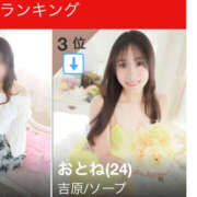 ヒメ日記 2025/07/06 16:36 投稿 おとね ハピネス東京 吉原店