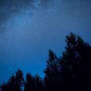 ヒメ日記 2025/07/09 18:21 投稿 まゆり 即アポマダム～名古屋店～