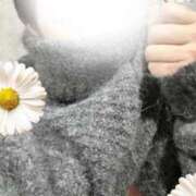 ヒメ日記 2026/01/13 06:01 投稿 まゆり 即アポマダム～名古屋店～