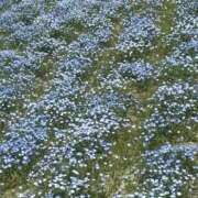 ヒメ日記 2026/05/08 05:51 投稿 まゆり 即アポマダム～名古屋店～