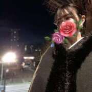 ヒメ日記 2024/12/31 20:00 投稿 みつき buzz-B