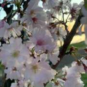 ヒメ日記 2025/04/07 23:09 投稿 みつき buzz-B