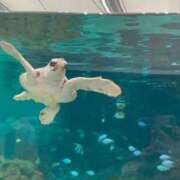 ヒメ日記 2025/05/07 22:28 投稿 みつき buzz-B