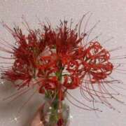 ヒメ日記 2025/10/02 13:30 投稿 みつき buzz-B