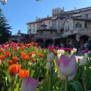 ヒメ日記 2025/12/17 03:45 投稿 みつき buzz-B